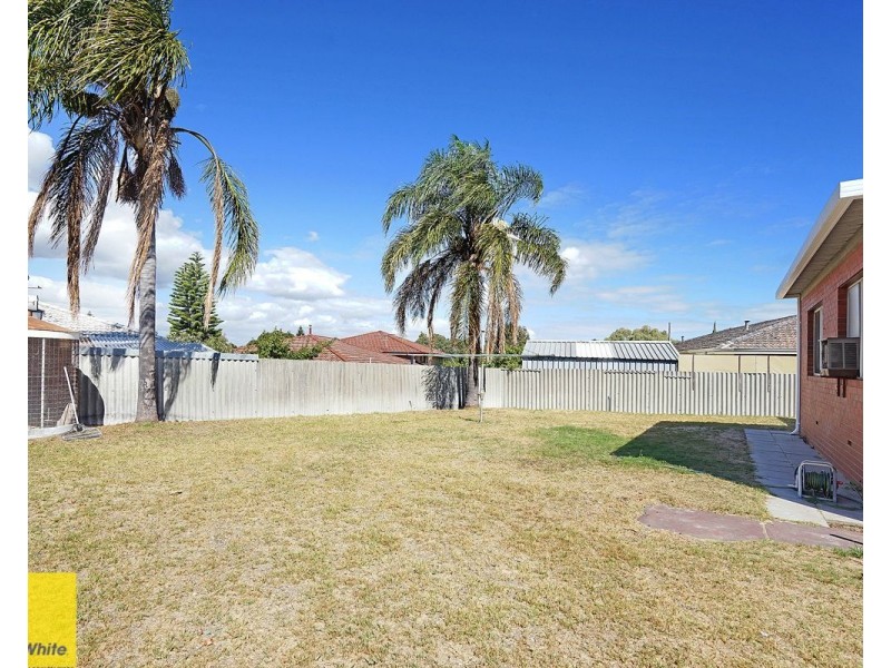 6 Brondon Street, Balcatta WA 6021