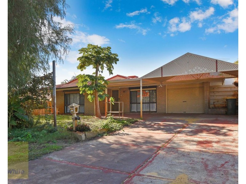 7 Bacon Place, Beechboro WA 6063