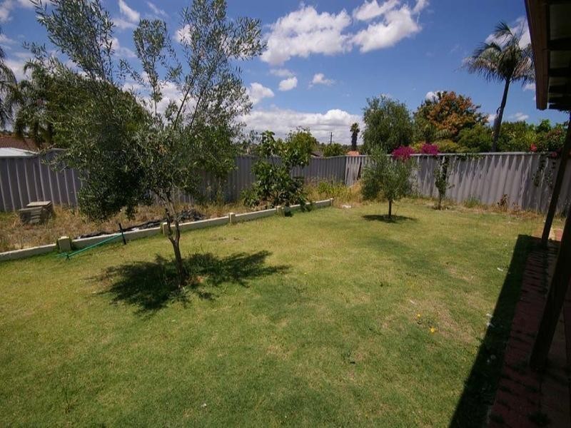 7 Tinsel Place, Mirrabooka WA 6061