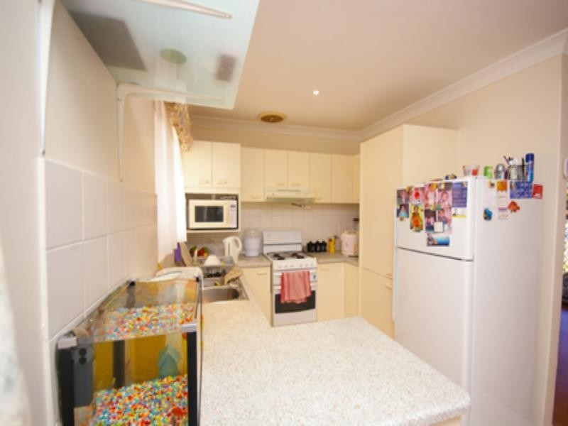 19 Nelligan Avenue, Girrawheen WA 6064