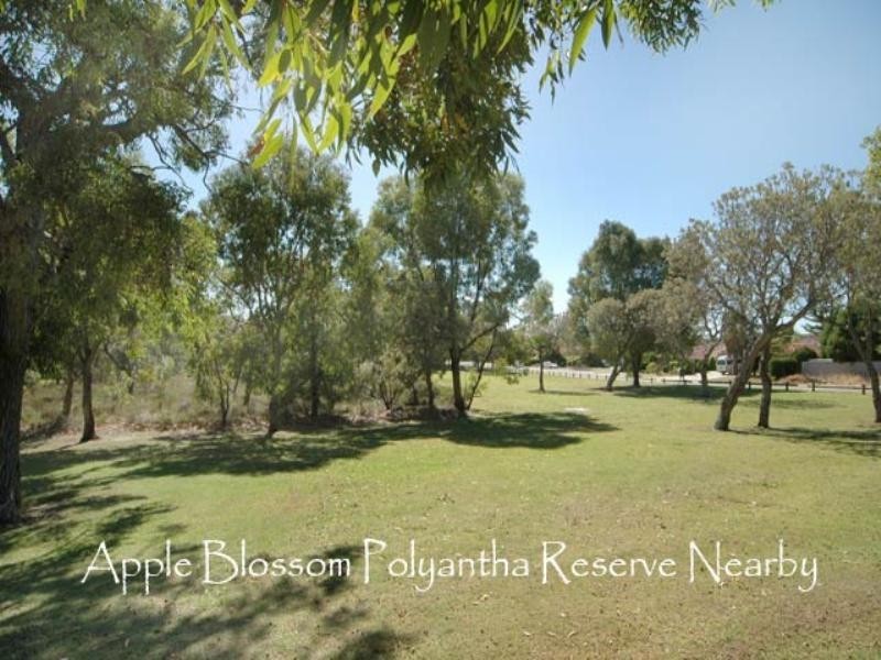 126 Appleblossom Drive, Mirrabooka WA 6061