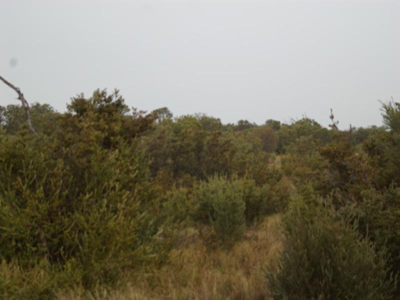 482 Gnangara Road, Landsdale WA 6065