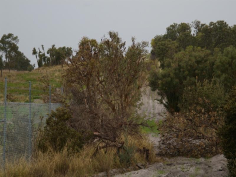 482 Gnangara Road, Landsdale WA 6065