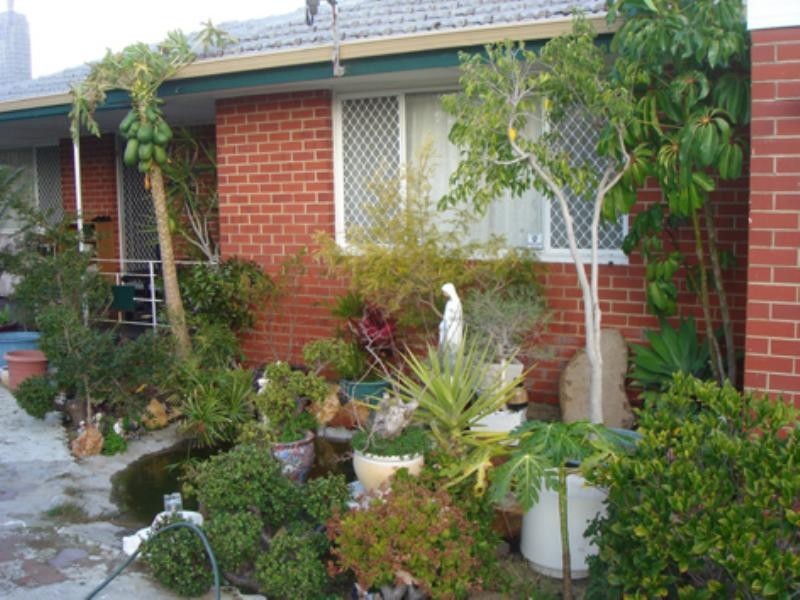 12 Pedler Place, Balga WA 6061