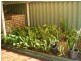 85 Giralia Parkway, Ballajura WA 6066