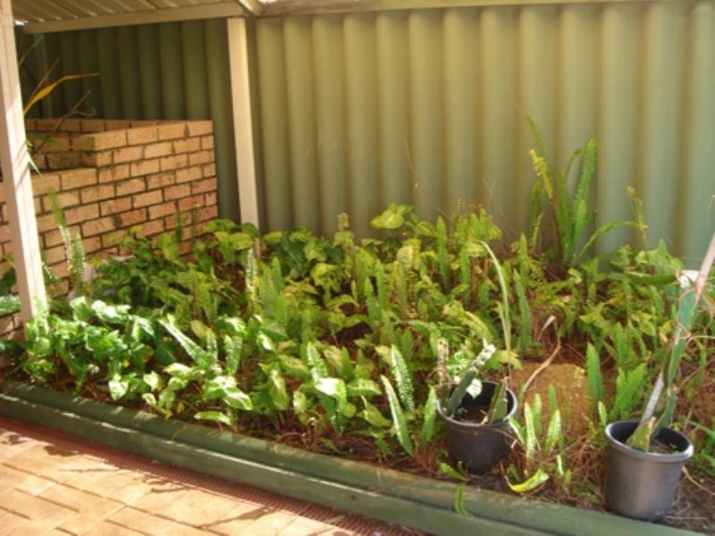 85 Giralia Parkway, Ballajura WA 6066