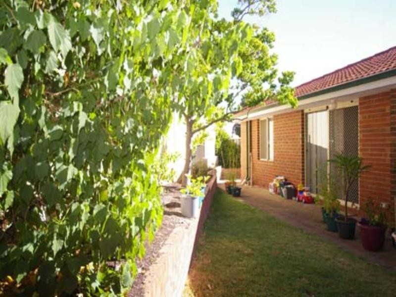 44b Carcoola Street, Nollamara WA 6061