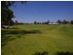 44b Carcoola Street, Nollamara WA 6061