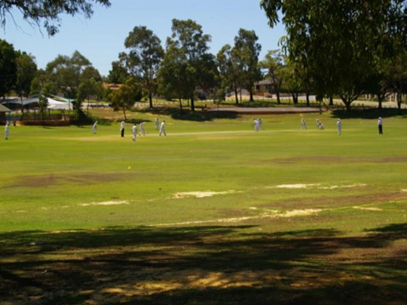 43 Glenwood Way, Balcatta WA 6021