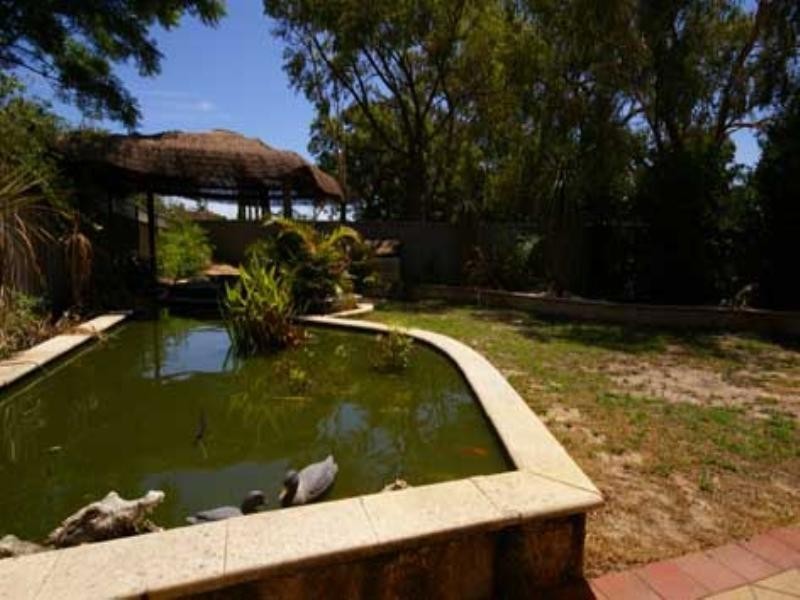 14 Cymosa Place, Mirrabooka WA 6061