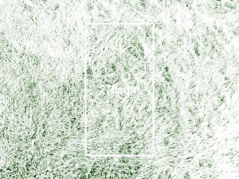 Lot 53 Playden Way, Balga WA 6061