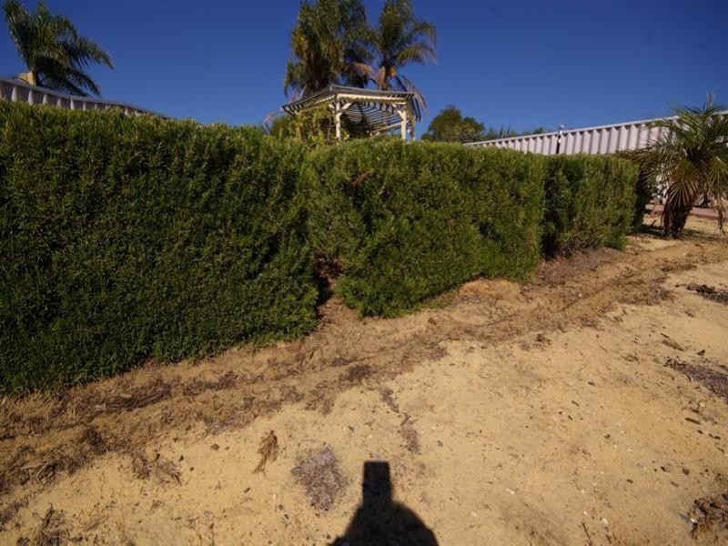 19 Japonica Heights, Mirrabooka WA 6061