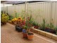 1 Enfield Turn, Carramar WA 6031