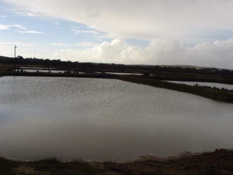 1588 Cantabilling Road, Hill River WA 6521