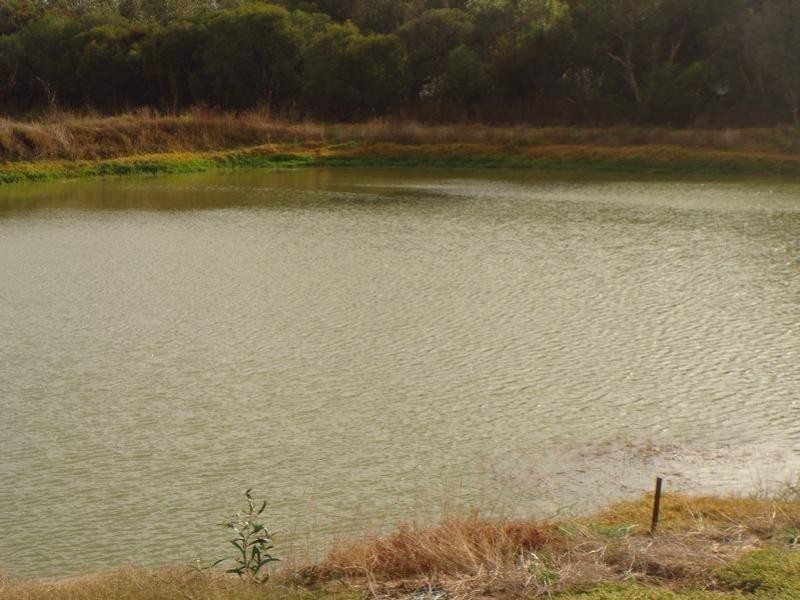 1588 Cantabilling Road, Hill River WA 6521