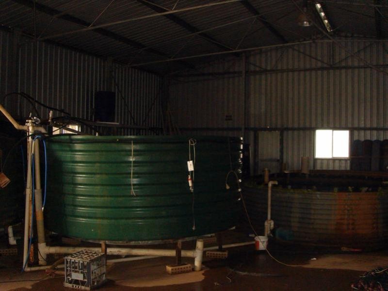 1588 Cantabilling Road, Hill River WA 6521