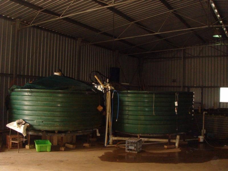 1588 Cantabilling Road, Hill River WA 6521