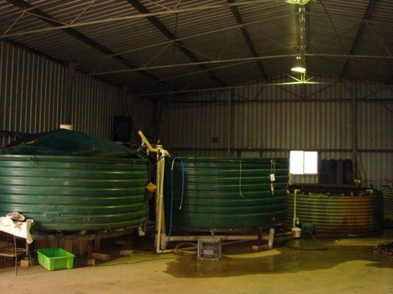 1588 Cantabilling Road, Hill River WA 6521