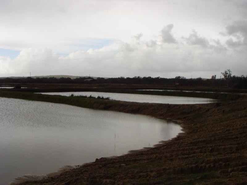 1588 Cantabilling Road, Hill River WA 6521