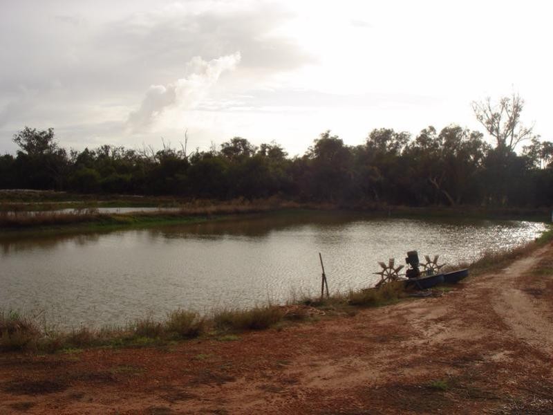 1588 Cantabilling Road, Hill River WA 6521