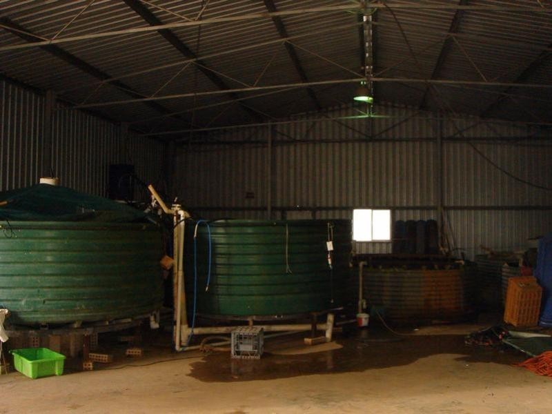 1588 Cantabilling Road, Hill River WA 6521