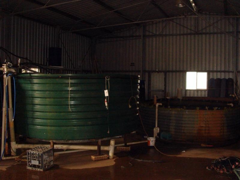 1588 Cantabilling Road, Hill River WA 6521