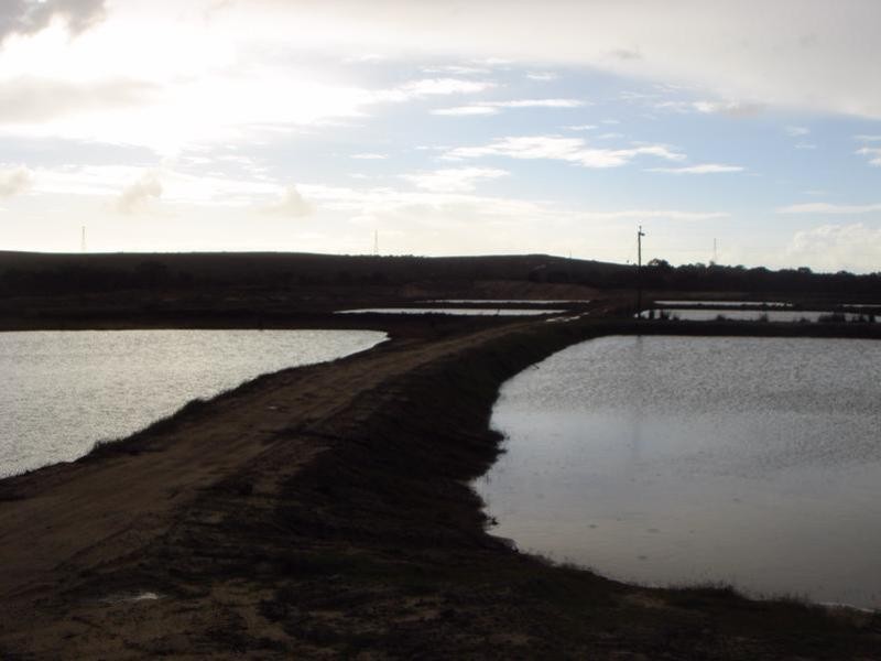 1588 Cantabilling Road, Hill River WA 6521