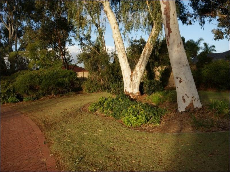 7G Chailey Place, Balga WA 6061