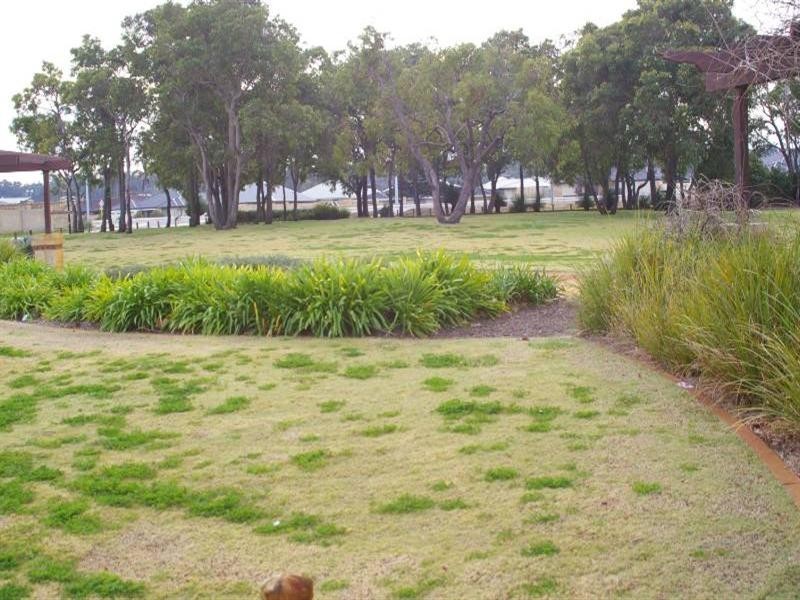 19 Renner Circle, Wanneroo WA 6065