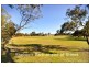 37 Swincer Way, Koondoola WA 6064