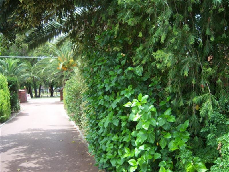 3/69 Shakespeare Avenue, Yokine WA 6060