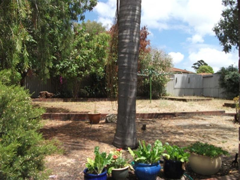 79 Waddington Crescent, Koondoola WA 6064