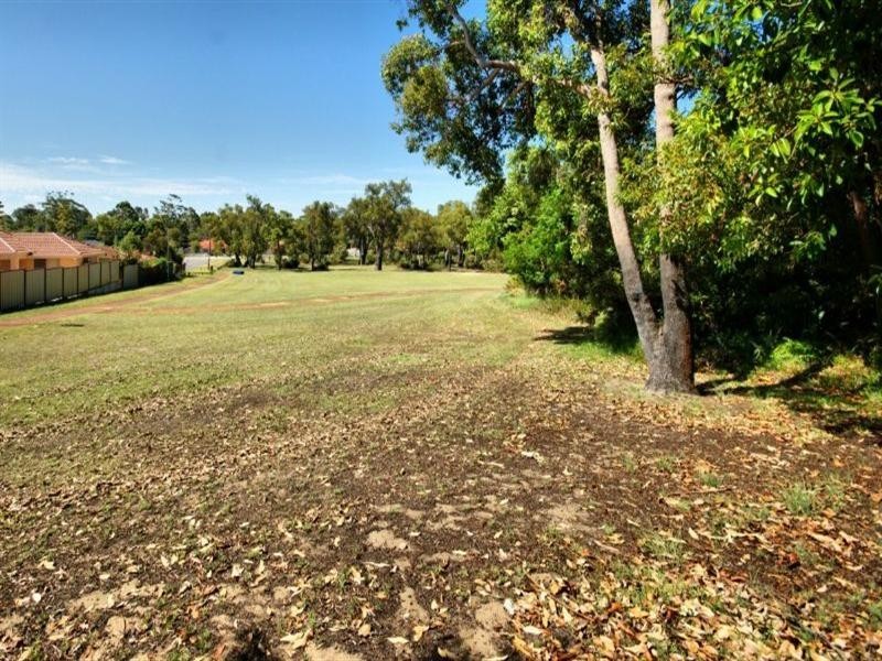 41 Barlow Way, Balga WA 6061