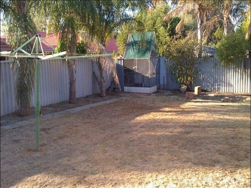 3 Rogate Way, Balga WA 6061