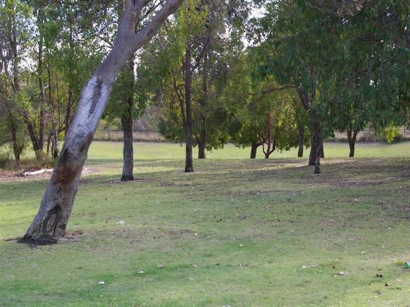 6 Polyantha Gardens, Mirrabooka WA 6061