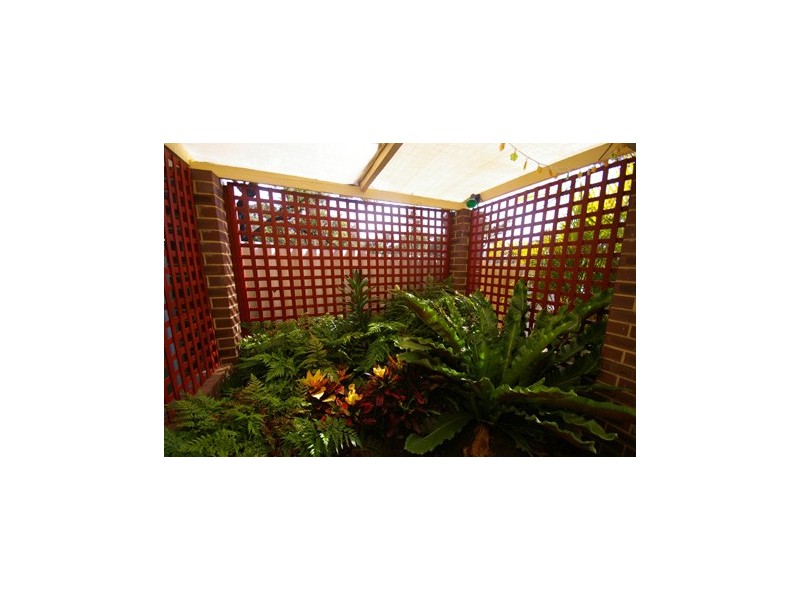 31 Calvert Way, Girrawheen WA 6064