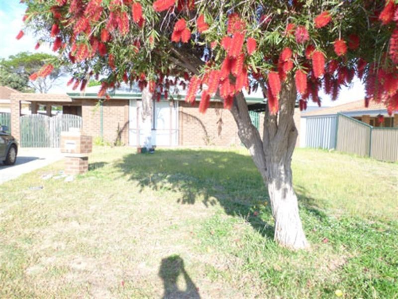 2 Giles Place, Mirrabooka WA 6061