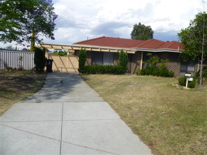 17 Chenile Mews, Mirrabooka WA 6061