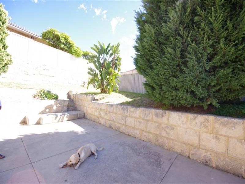 11 Manna Close, Mirrabooka WA 6061