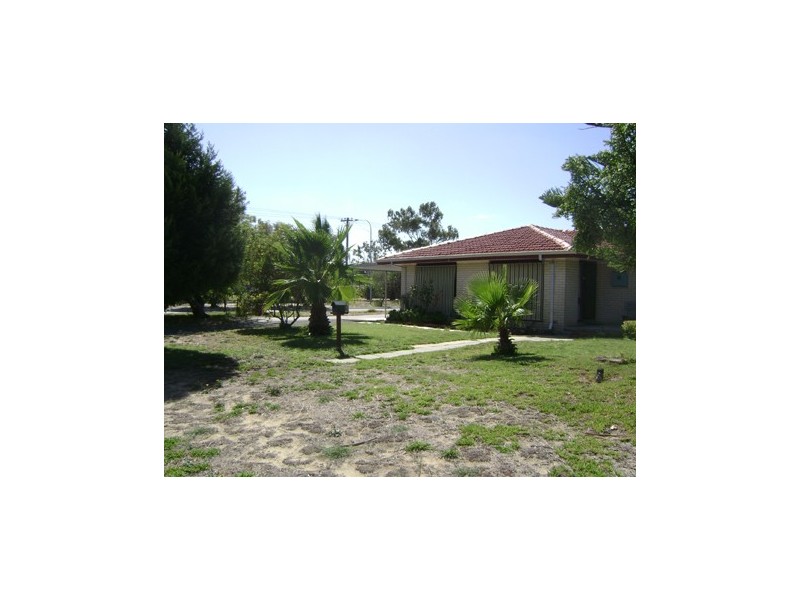 8 Mercer Way, Balga WA 6061