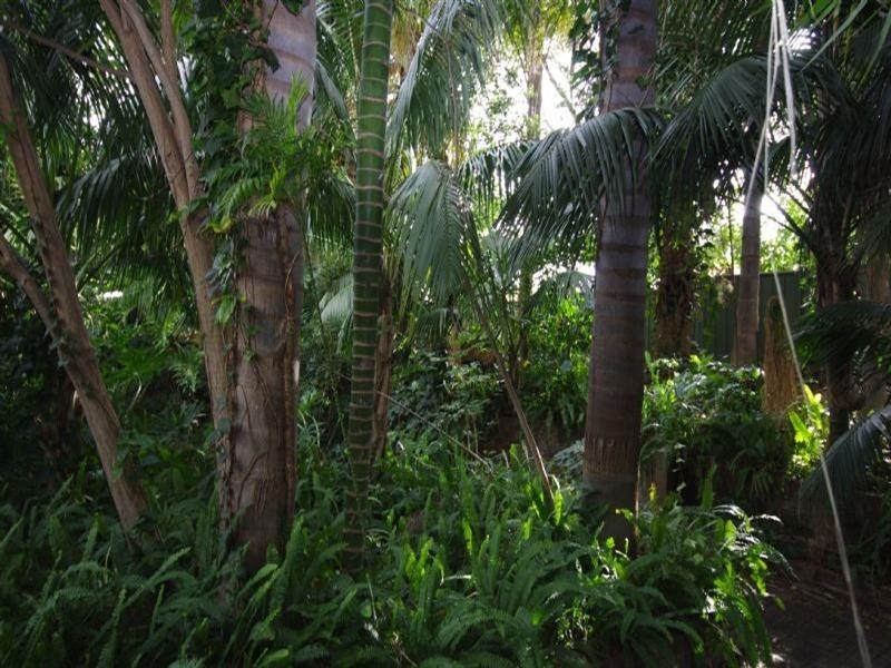 29 Walderton Avenue, Balga WA 6061