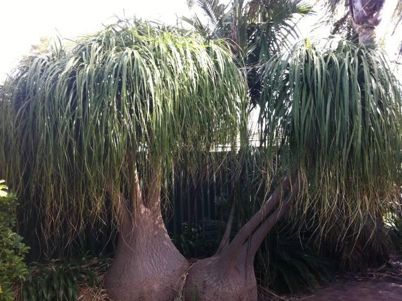 7b Ledbury Street, Balga WA 6061