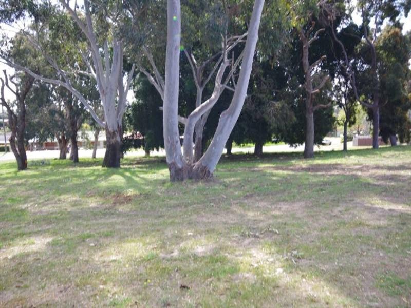 10 Bexley Way, Girrawheen WA 6064