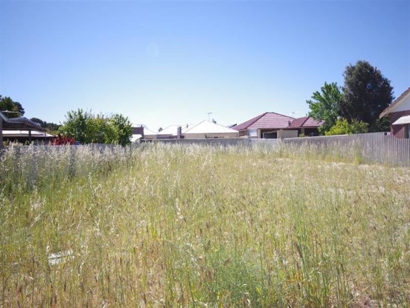 163 Nollamara Avenue, Nollamara WA 6061