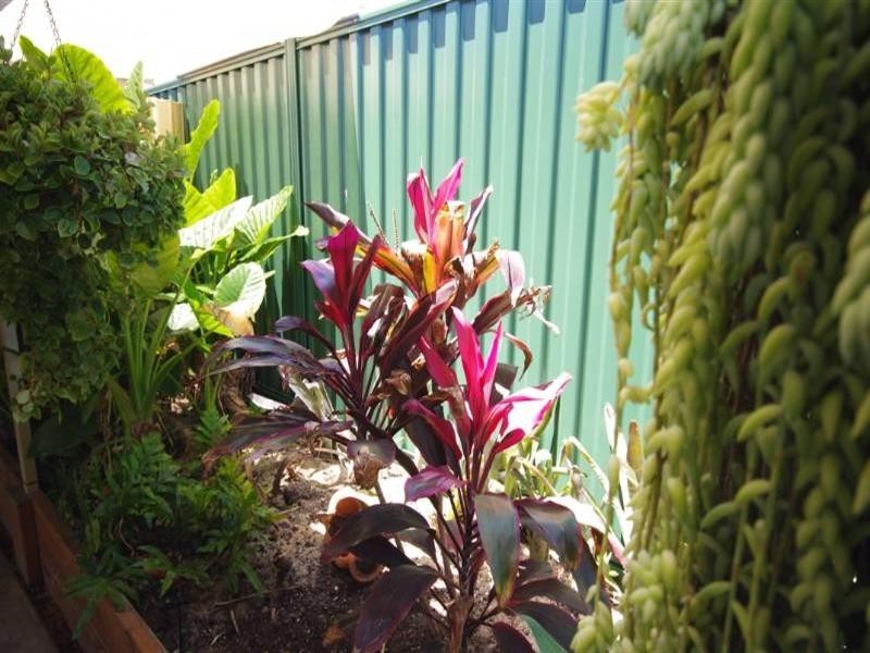 10 Galpini Place, Mirrabooka WA 6061