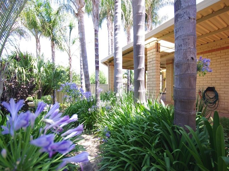 18 Silkpod Heights, Mirrabooka WA 6061