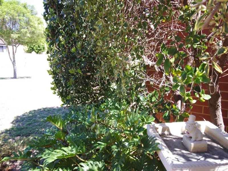 10 Malacari Road, Mirrabooka WA 6061