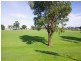 2A Currong Way, Nollamara WA 6061