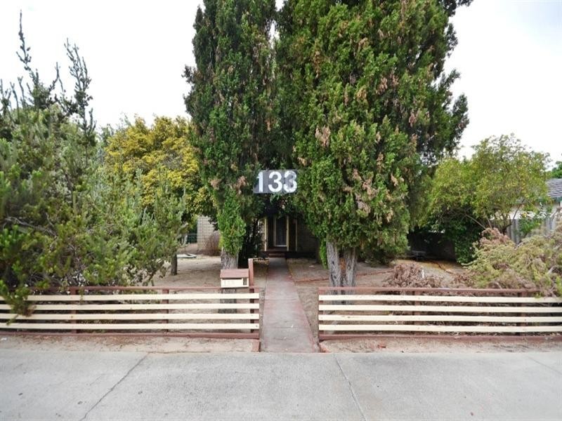 133 Orrong Road, Rivervale WA 6103