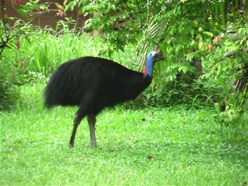 Lot 2 Jackson Road, Shell Pocket QLD 4855